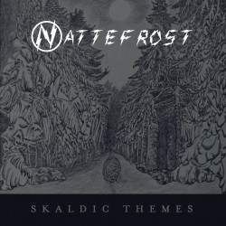 Skaldic Themes