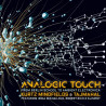 Analogic Touch