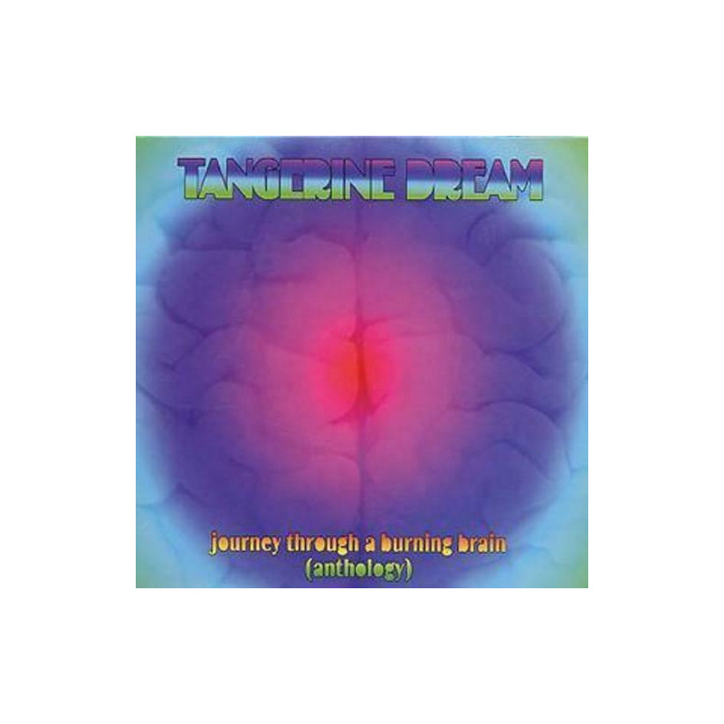 Journey Through A Burning Brain