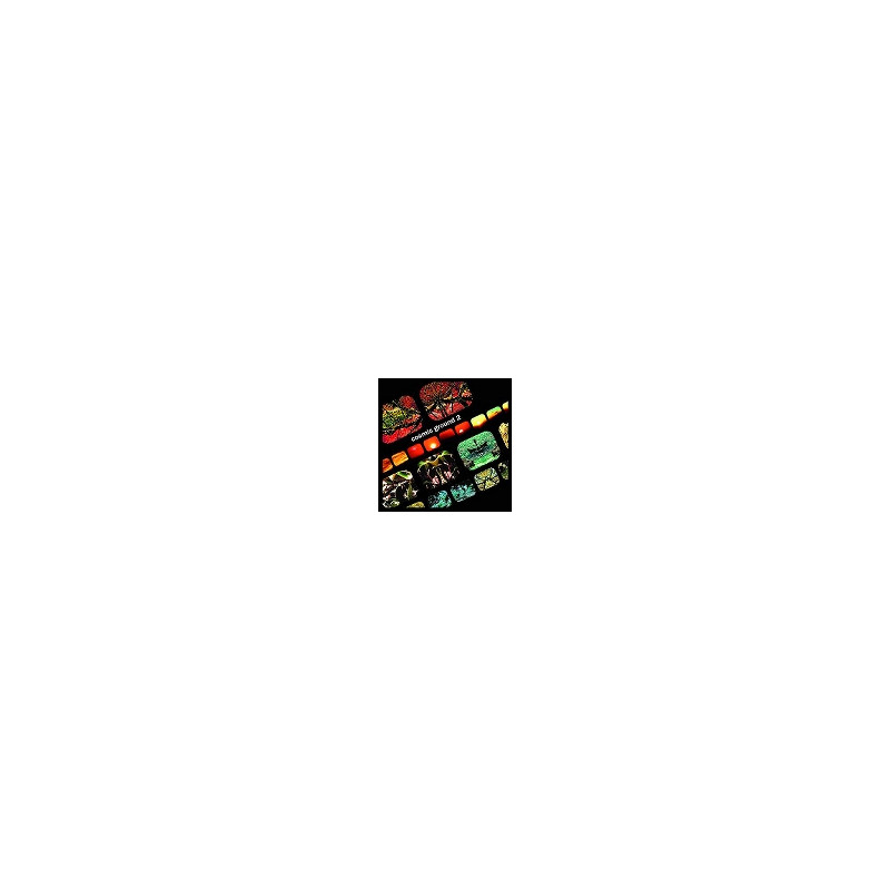 Cosmic Ground 2