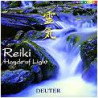 Reiki, Hands Of Light