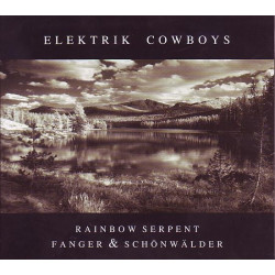 Elektrik Cowboys