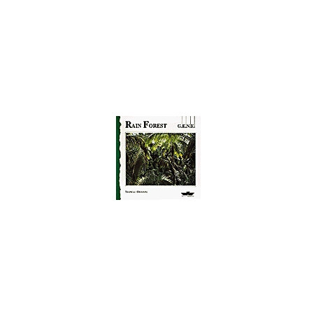 Rain Forest