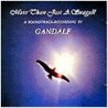 More than just a seagull