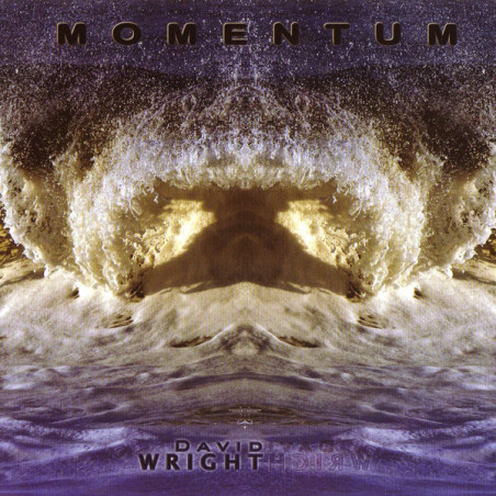 Momentum