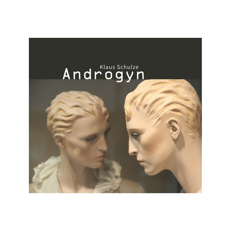 Androgyn