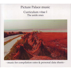Curriculum Vitae I - The Aside Ones
