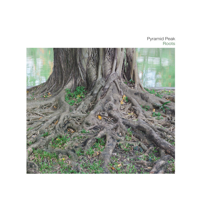 Roots