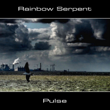 Pulse