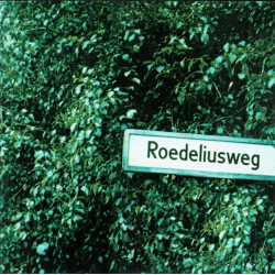Roedelius - Roedeliusweg