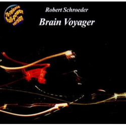 Brain Voyager