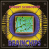 Brainchips Instrumental Version