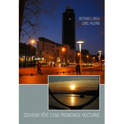 Bertrand Loreau/Lionel Palierne - Souvenir Rêvé D'Une Promenade Nocturne DVDr