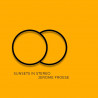 Froese, Jerome - Sunsets In Stereo