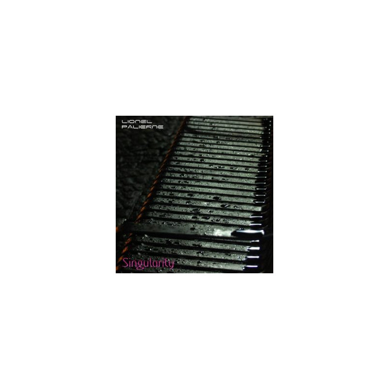 Palierne, Lionel - Singularity CDR