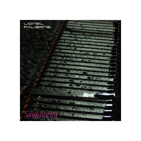 Palierne, Lionel - Singularity CDR