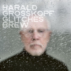 Harald Großkopf - Glitches Brew CD