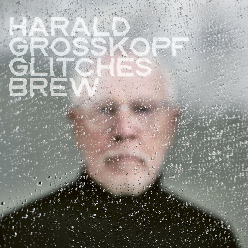 Harald Großkopf - Glitches Brew CD