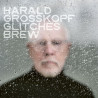 Harald Großkopf - Glitches Brew CD